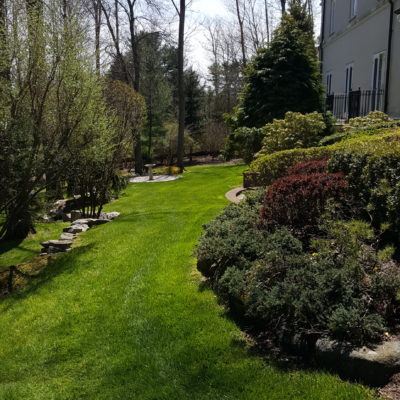 Optimal Watering Practices for you lawn in Darien CT in Fairfield County