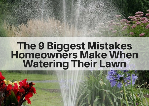 9 biggest mistakes homeowners make when watering their lawn | Fairfield County CT Lawn Care