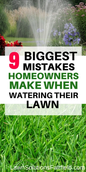 9 biggest mistakes homeowners make when watering their lawn | Lawn Solutions in Fairfield County CT