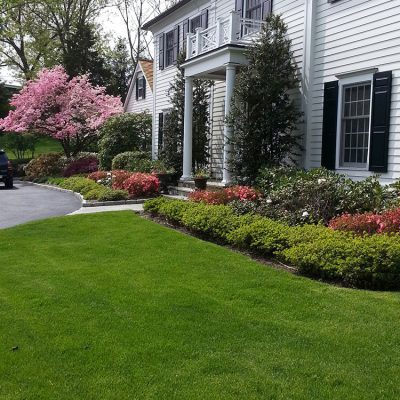 Fairfield County CT What is proper hieight for your lawn