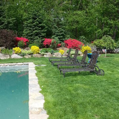 Keeping your lawn healthy and lush in Darien CT