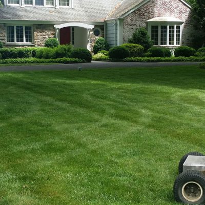 Watering your lawn: What is best time of day to water your lawn. Darien CT, Fairfield County
