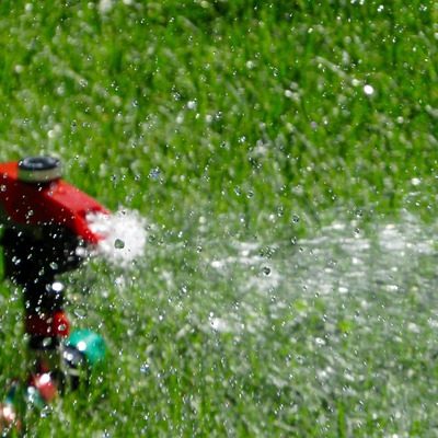 mistakes to avoid when watering your lawn - Fairfield County