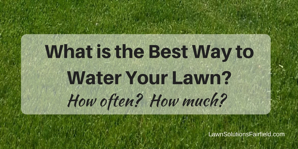 What is the best way to water your lawn in Fairfield County CT