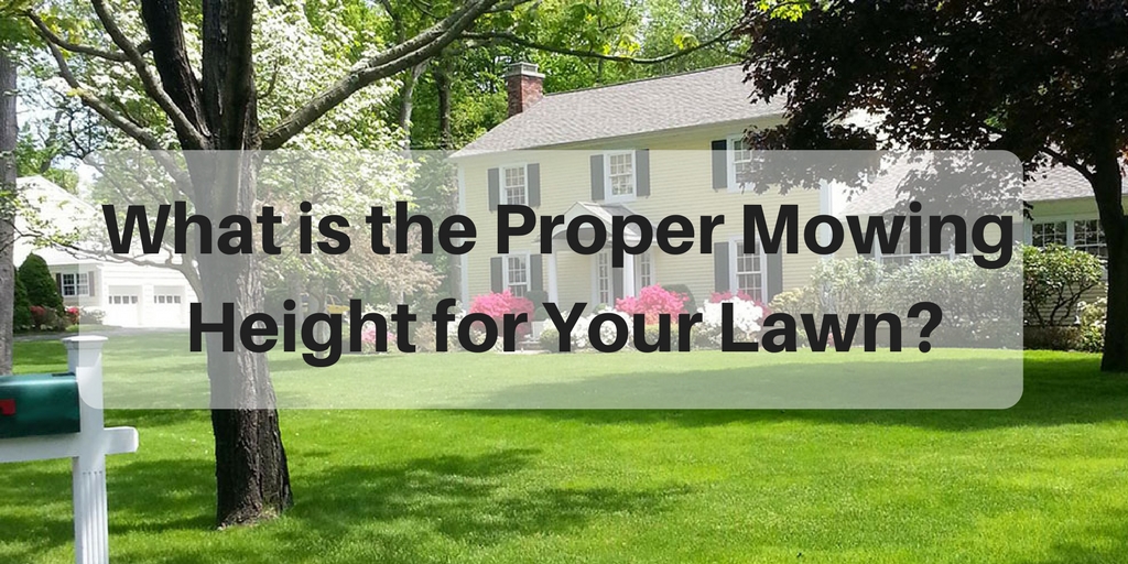 What is the proper moving height for your lawn