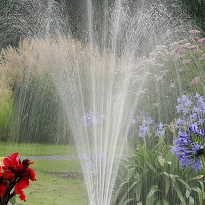 Common mistakes people make when watering their lawn